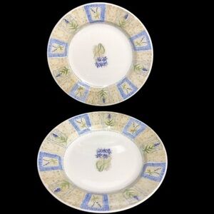 2 Pier 1 Angleterre Hydrangea England 8” Salad Plates pre-owned